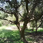 Casa De Campo Olmue